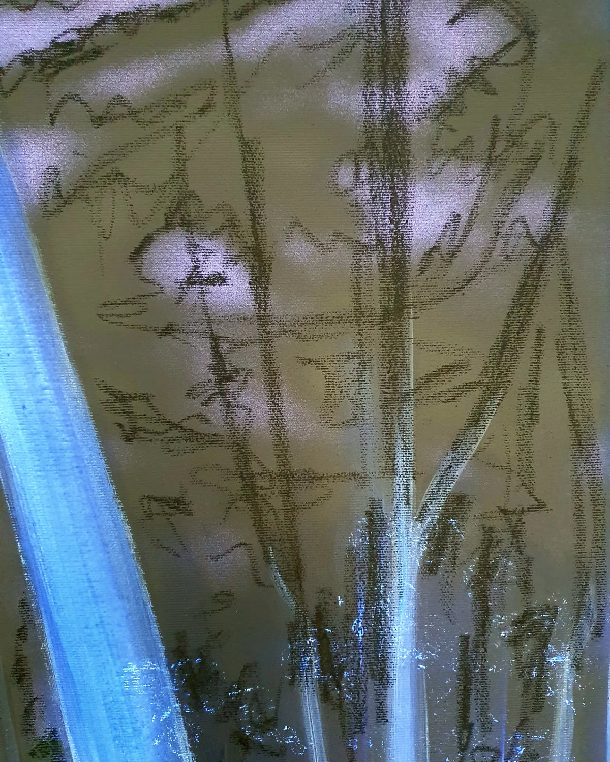 Nachts im Wald