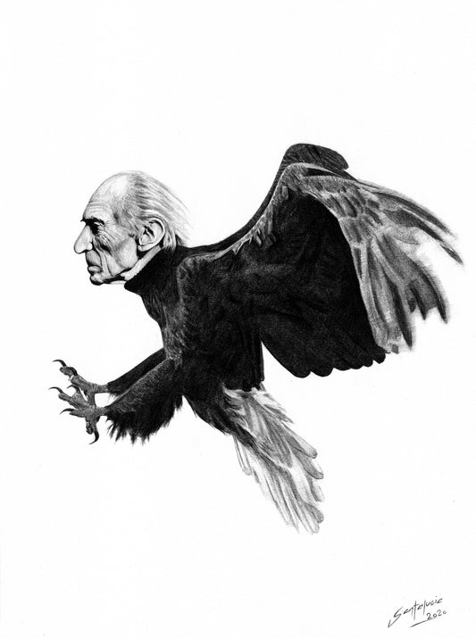 The Silent Judge